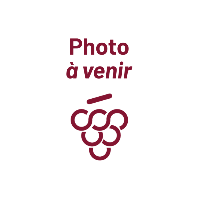 Brut Rosé 12 ans de cave a minima