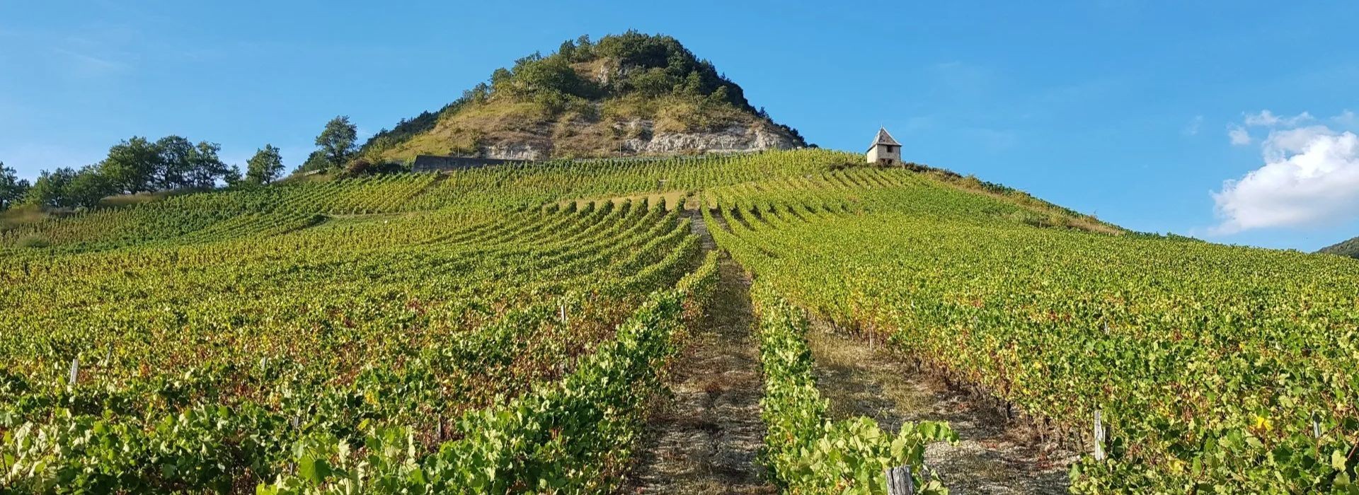 Une pépite pour la nouvelle année